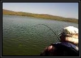 Al's bent rod says it all !