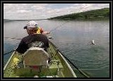 Smallmouth Bass... one of a dozen or more we each caught this day! The boat you are seeing stays at this reservoir permanently, and no powered engines, or electric motors is permitted.