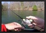 When fishing with the Rat-L-Trap lure we used a 7ft medium light bait caster or equivalent spinning rod, and a smooth casting reel. Line used was 15lb braid with a 12lb fluro leader. We always use a leader cut 6ft to 8ft because this water is very clear and the braid might spook the fish.