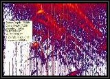Here is a sonar view showing the depth 7.26ft level these fish were suspended at. They came up to HAMMER the Livingston Lure when it got close to them!