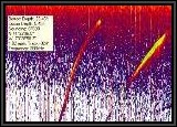 Here is a sonar snapshot of Bass going after my Livingston Lure. A waypoint was set to capture the co-ordinates so we could go back and see this activity via software we use for this purpose.