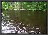 Working the Eastern shoreline of trees and rocks