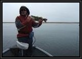 Rainy overcast day but it produced a "boat load" of bass that were caught with the Colorado Bladed Spinner Bait.