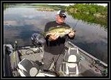 We catch largemouth Bass on the Warrior Buzzbait !