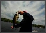 Now that is one nice BASS caught with the Worm!!