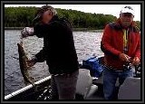 Dennis hooks up a Northern Pike!!