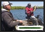 Pete shows off this nice "smally" he got with the Tiki Stick Bait