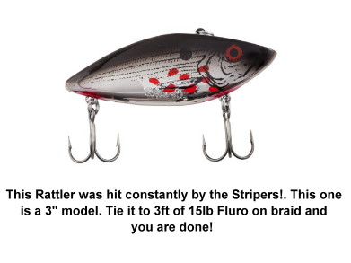 hackensack stripers
