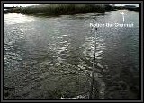 Another Striper caught just outside the channel leading into the marsh area. We are in approximately 3 ft of water here. Cast into the channel and along the outside edges.