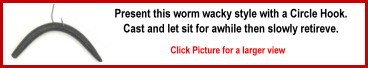 wacky worm rig
