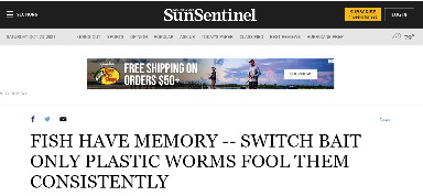 

FISH HAVE MEMORY -- SWITCH BAIT ONLY PLASTIC WORMS FOOL THEM CONSISTENTLY