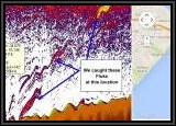 We caught many Fluke at these coordinates N40*32.610'  W74*00.769' . This would be close to Channel Marker 15. Use these coordinates in your own GPS enabled fishfinder to work this spot. You can also create a map for future use at this site... GPS COORDINATE CONVERTER. Enter the coordinates and it will show the exact location on a Google Map. http://boulter.com/gps/?c=