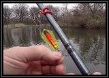 We gave the Tom's Taz Lure a try too! It had "outstanding action", and fish were always following it, but we could not get the hatchery Trout to strike. Next time we will try a smaller lighter version of the lure because it would definately have produced strikes!